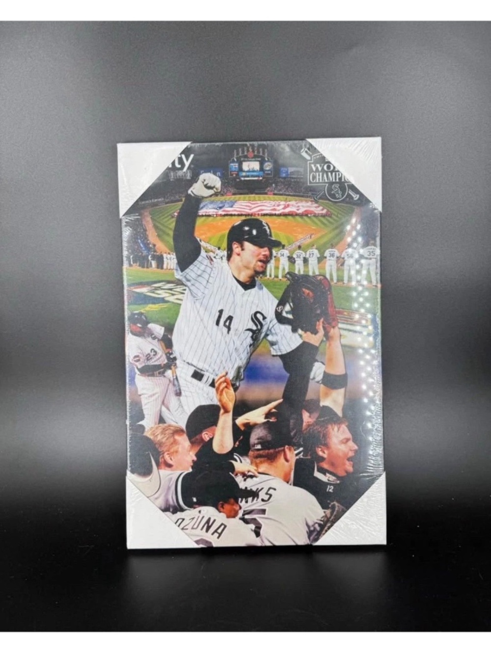 Chicago White Sox 2005 World Series Champions Colored Print Canvas Photo 9 x 14